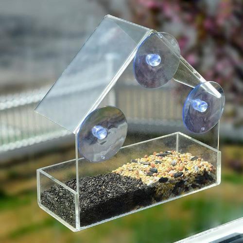 Premium Clear Bird Feeder