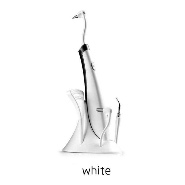 Dental Ultrasonic Plaque Tartar Remover