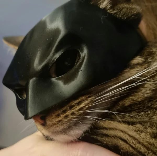 The Batcat Halloween Batman Cat Mask