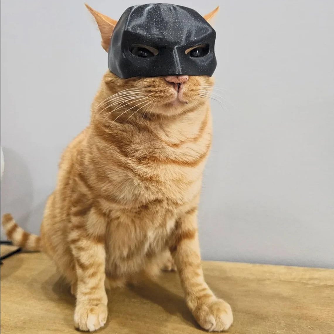 The Batcat Halloween Batman Cat Mask