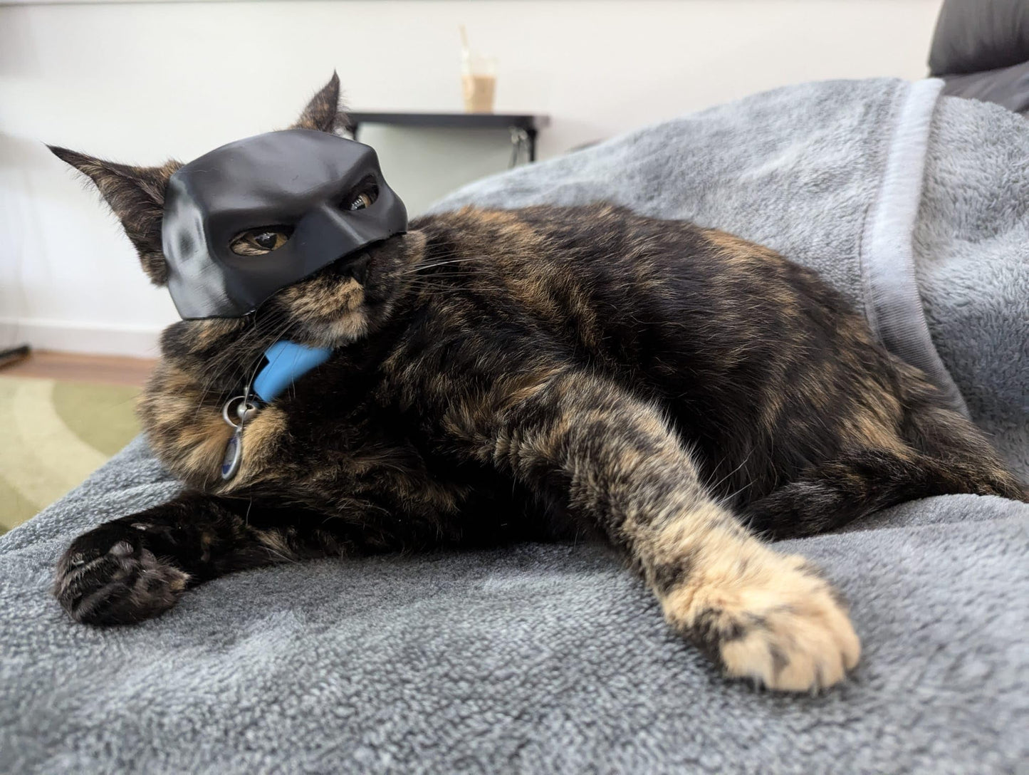 The Batcat Halloween Batman Cat Mask