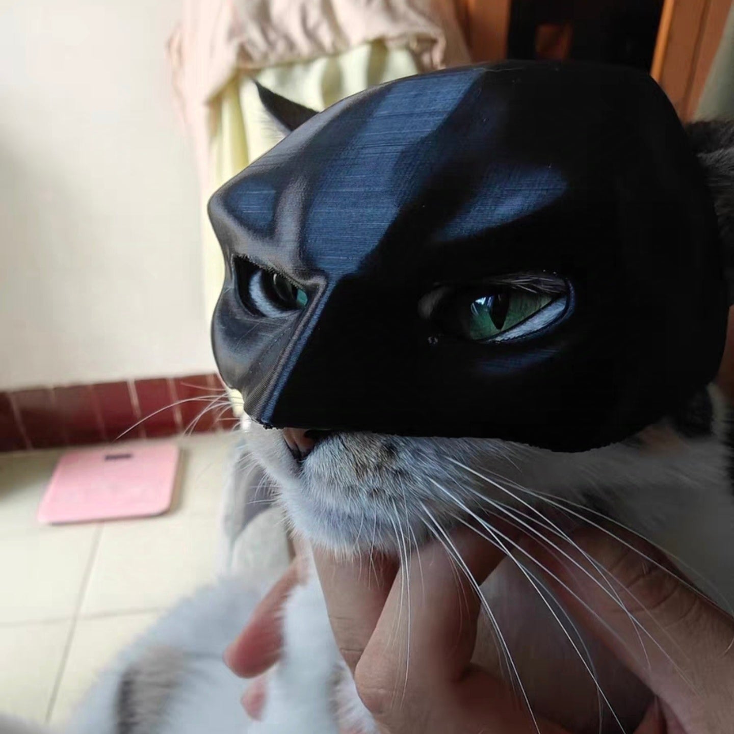 The Batcat Halloween Batman Cat Mask