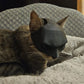 The Batcat Halloween Batman Cat Mask