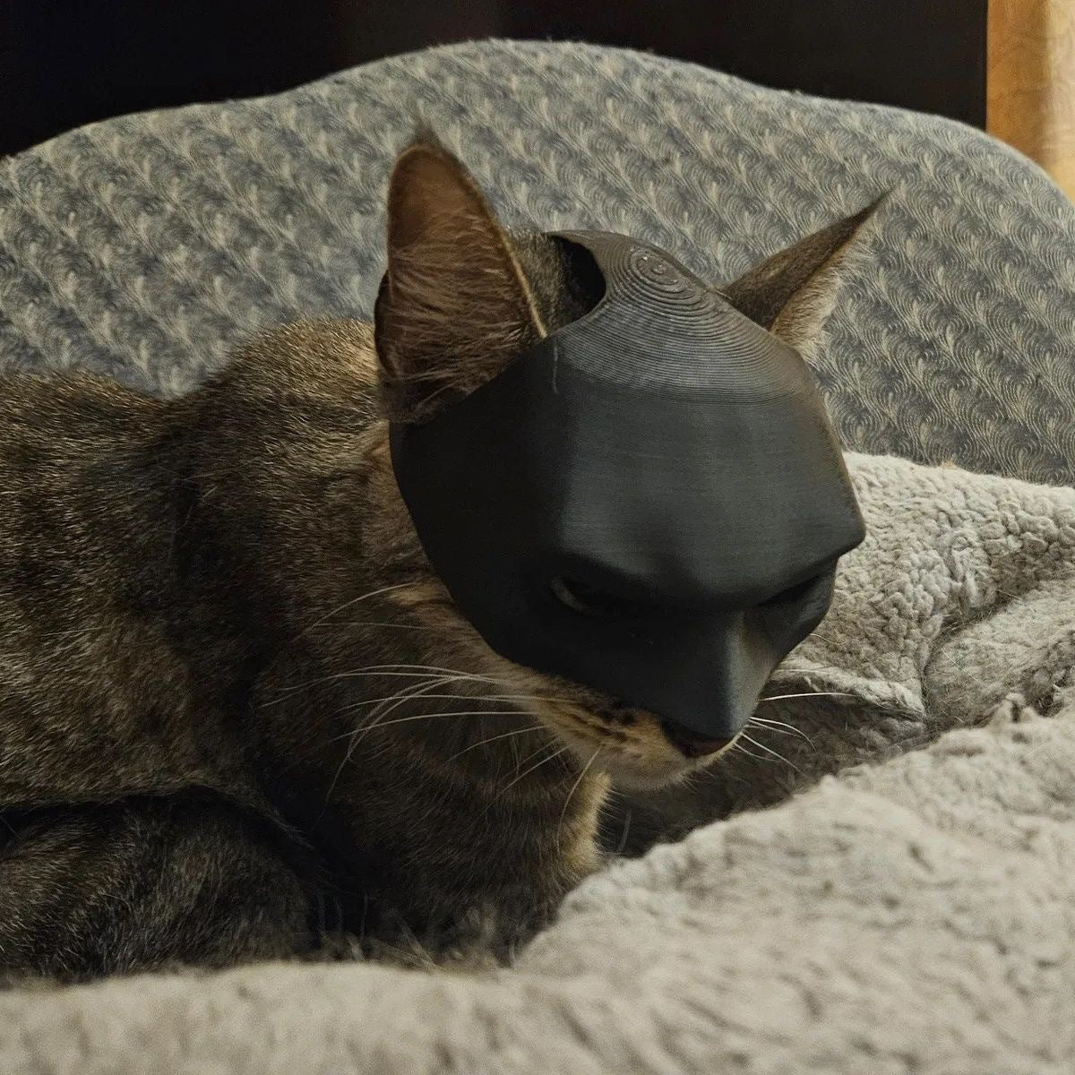 The Batcat Halloween Batman Cat Mask