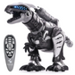 Remote Control Robot Dinosaur Toy