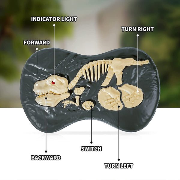 Remote Control Kids Dinosaur