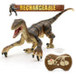 Remote Control Kids Dinosaur