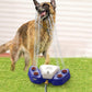Multipurpose Dog Water Sprinkler Fountain