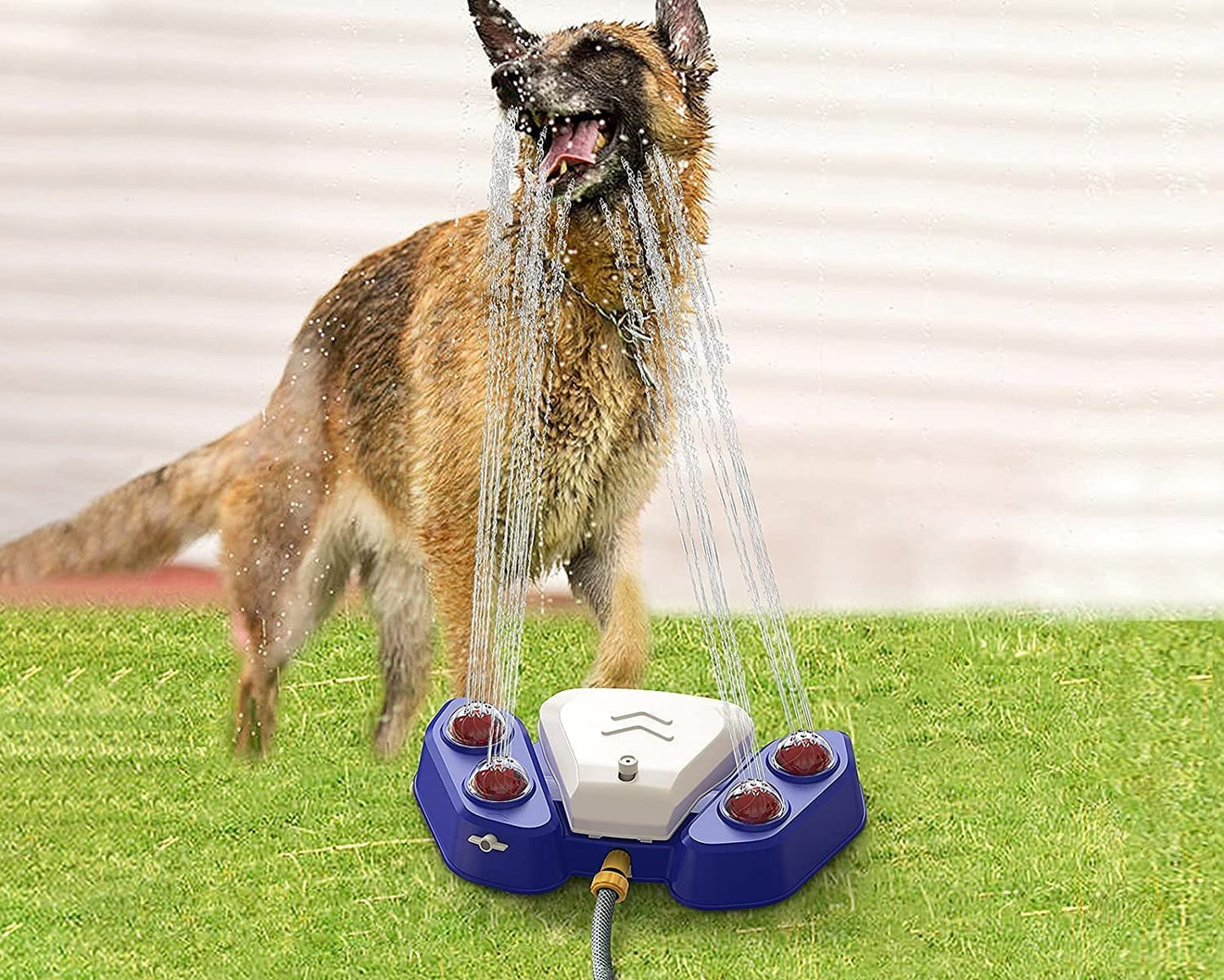 Multipurpose Dog Water Sprinkler Fountain