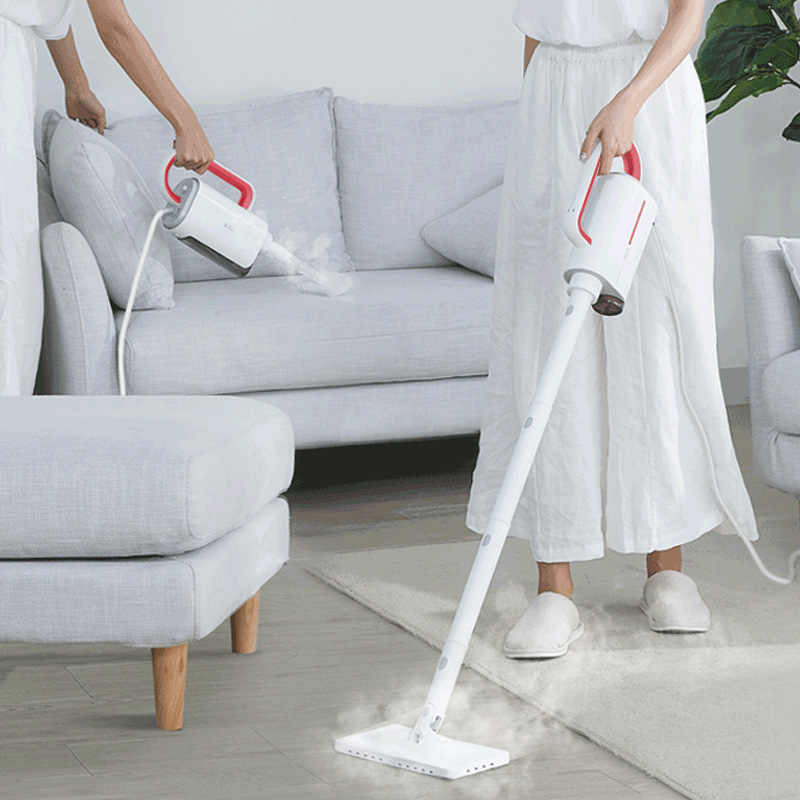 5-in-1 Steam Cleaner - Yakudatsu