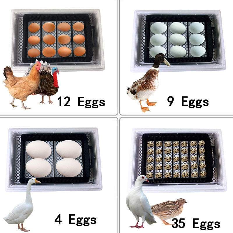 Automatic 35 Egg Hatching Incubator - Yakudatsu