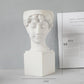 Roman Empire Head Bust Sculpture Planter