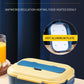 Japanese Stainless Steel Bento Lunch Box - Yakudatsu